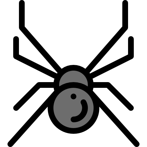Spider icon