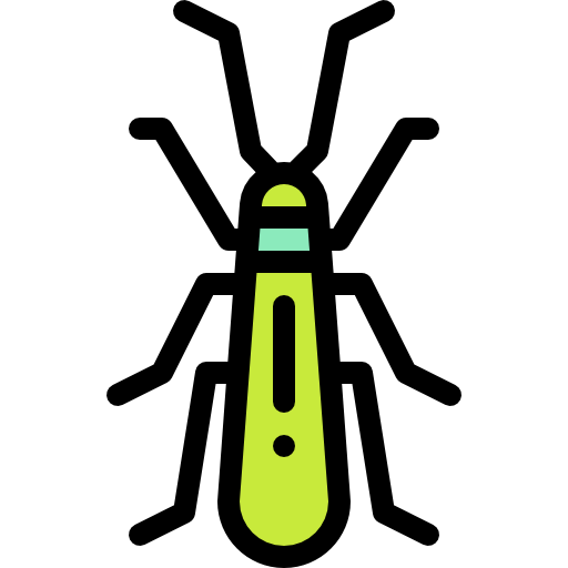 Insect icon