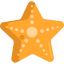 Starfish icon 64x64