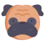 Pug icon 64x64
