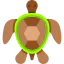 Turtle icône 64x64