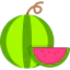 Watermelon Ikona 64x64