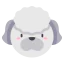 French poodle icon 64x64