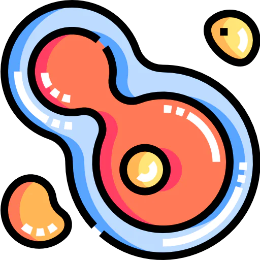 Cell division icon