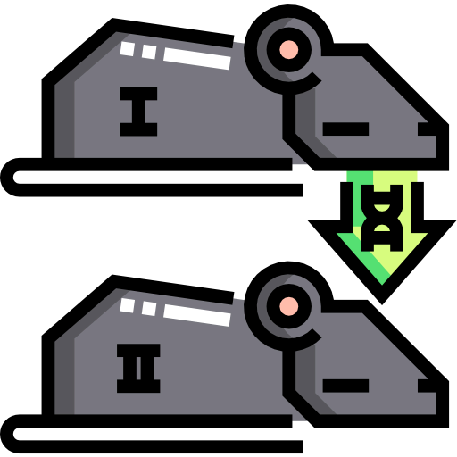 Cloning icon