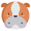Bulldog icon 64x64