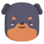 Rottweiler icon 64x64