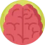 Brain icon 64x64