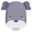Schnauzer icon 64x64