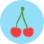 Cherry icon 64x64
