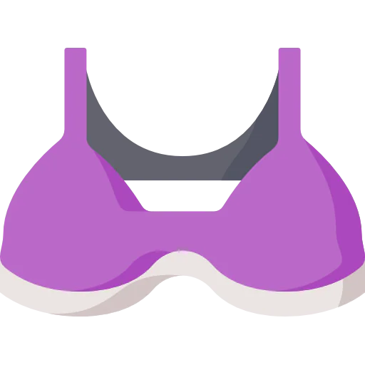 Bra icon