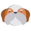 Shih tzu icon 64x64