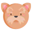 Yorkshire terrier icon 64x64