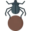 Scarab icon 64x64