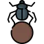 Scarab icon 64x64