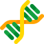 Dna icon 64x64