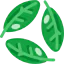 Leaves icon 64x64