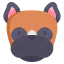 Boxer icon 64x64