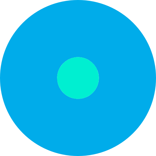 Record icon