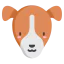 Jack russell terrier icon 64x64