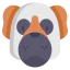Saint bernard icon 64x64