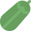 Courgette icon 64x64