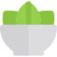Salad icon 64x64