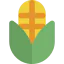 Corn icon 64x64