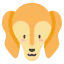 Saluki icon 64x64