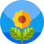 Spring icon 64x64