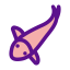 Fish icon 64x64