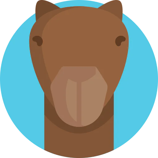 Camel icon