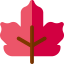 Maple leaf 图标 64x64