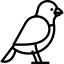 Bird biểu tượng 64x64