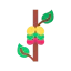 Beans icon 64x64