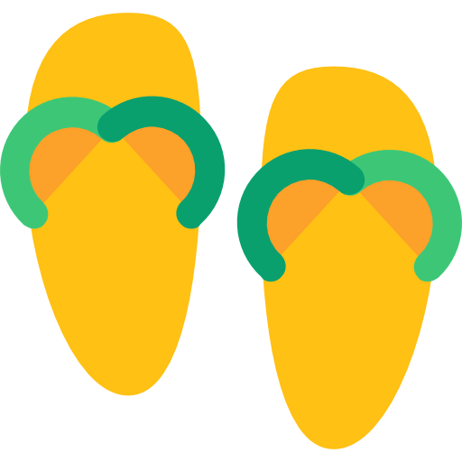 Flip flops icon