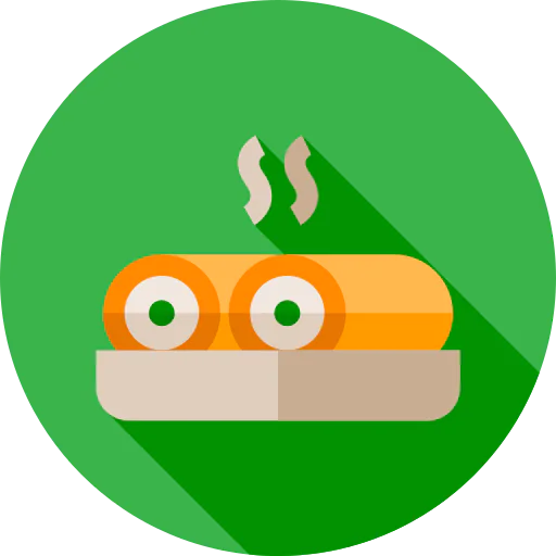 Spring rolls icon
