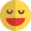 Grinning Ikona 64x64