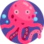 Octopus icon 64x64