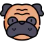 Pug icon 64x64