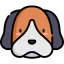 Beagle Ikona 64x64