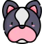 French bulldog icon 64x64