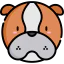 Bulldog icon 64x64