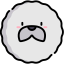 Bichon frise icon 64x64