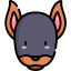 Doberman icon 64x64