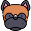 Boxer icon 64x64