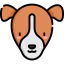 Jack russell terrier icon 64x64