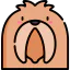 Pekingese icon 64x64