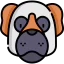 Saint bernard icon 64x64