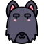 Scottish terrier icon 64x64